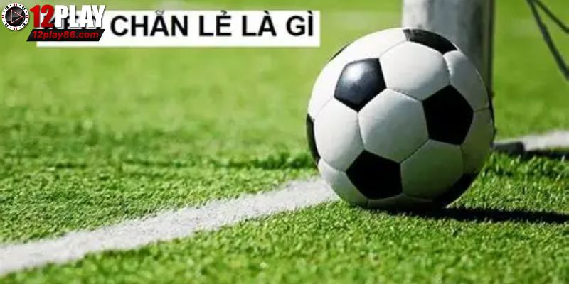Những phiên bản phổ biến được bet thủ lựa chọn