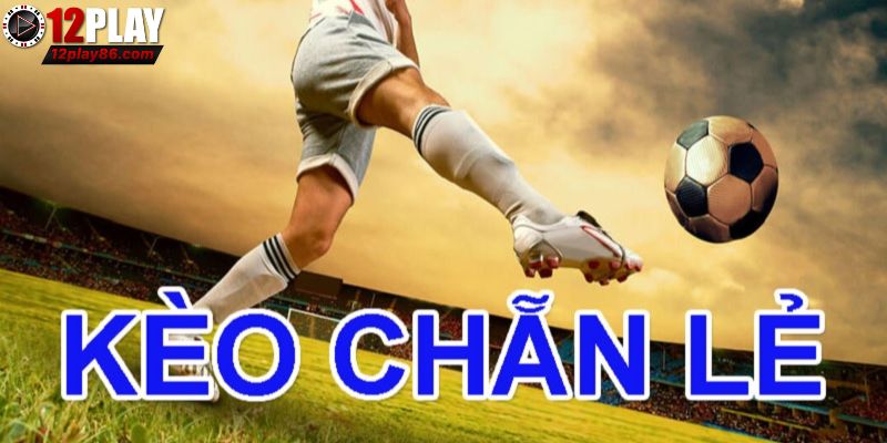 Sơ lược về kèo chẵn lẻ 12PLAY