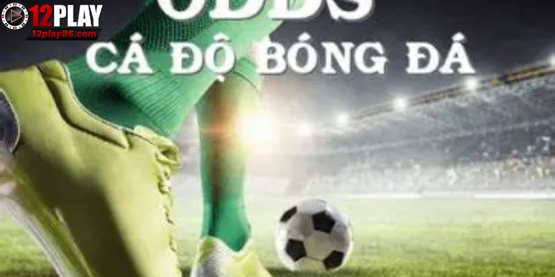 Sơ lược về odds trong bóng đá