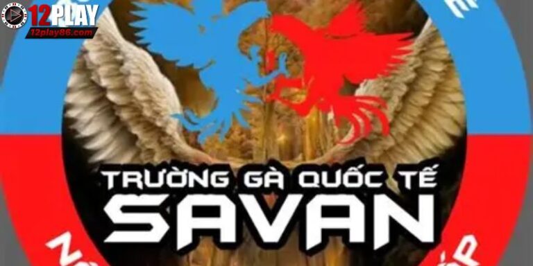 Trường gà Savan