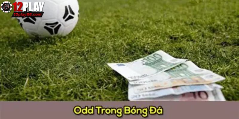 Vai trò của odds trong bóng đá mà bet thủ cần biết