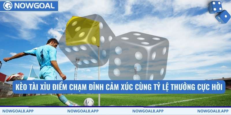 Kèo tài xỉu điểm chạm đỉnh cảm xúc cùng tỷ lệ thưởng cực hời
